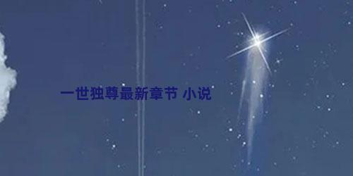 一世独尊最新章节 小说